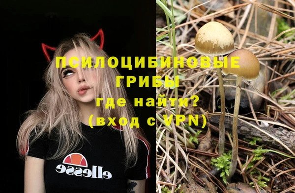 мяу мяу кристалл Алексин